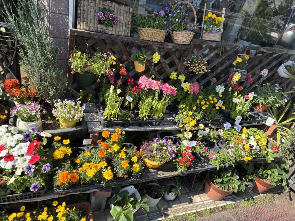 ホットフラワー赤坪店 写真5